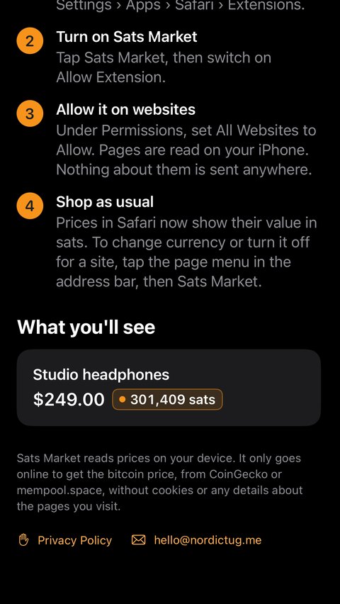 The setup app on iPhone in dark mode, showing steps 2 to 4 and the What you'll see example badge.
